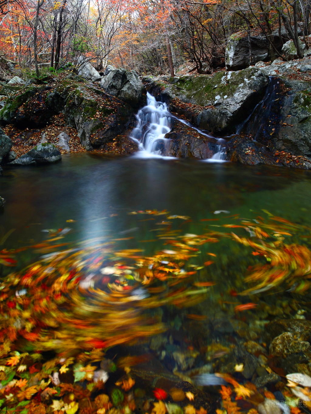 8-F513_13046_치악산_치악산부곡계곡단풍_원성호_d.jpg